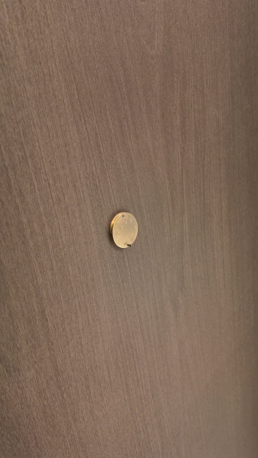 A greige wood-look wardrobe panel in Tampines with a round brass knob